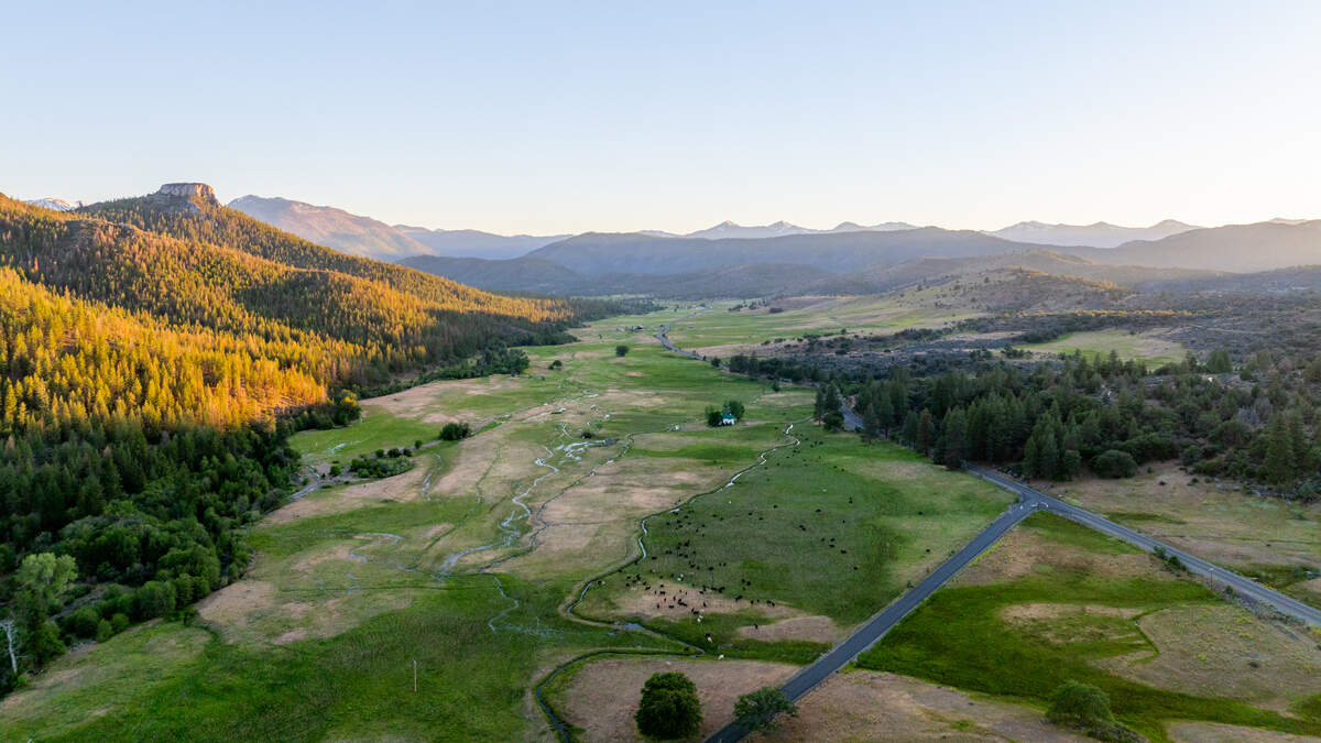 AP Ranch in Gazelle, California, stretches 14,000 acres, about the size of Manhattan.